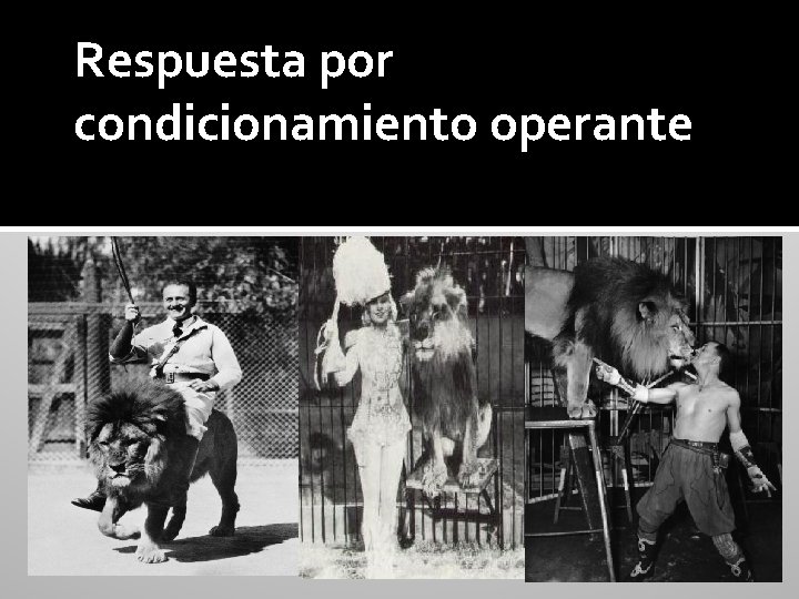 Respuesta por condicionamiento operante 