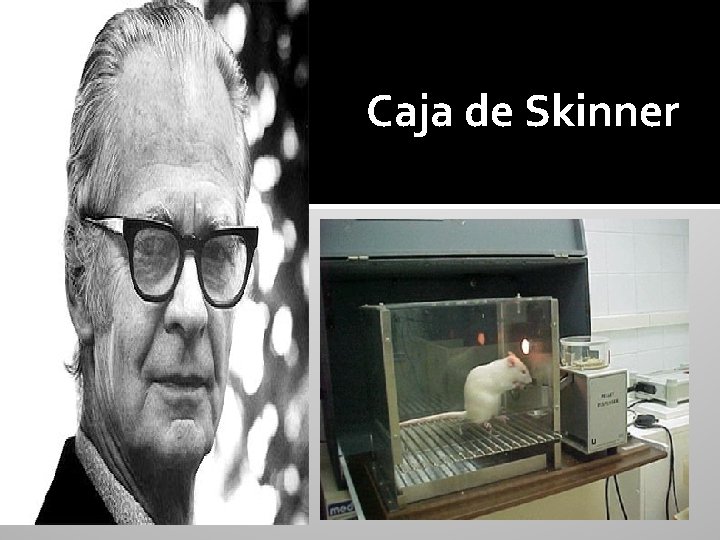 Caja de Skinner 
