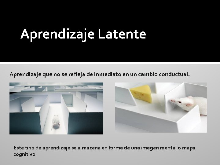 Aprendizaje Latente Aprendizaje que no se refleja de inmediato en un cambio conductual. Este