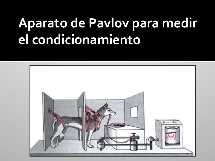 Aparato de Pavlov para medir el condicionamiento 