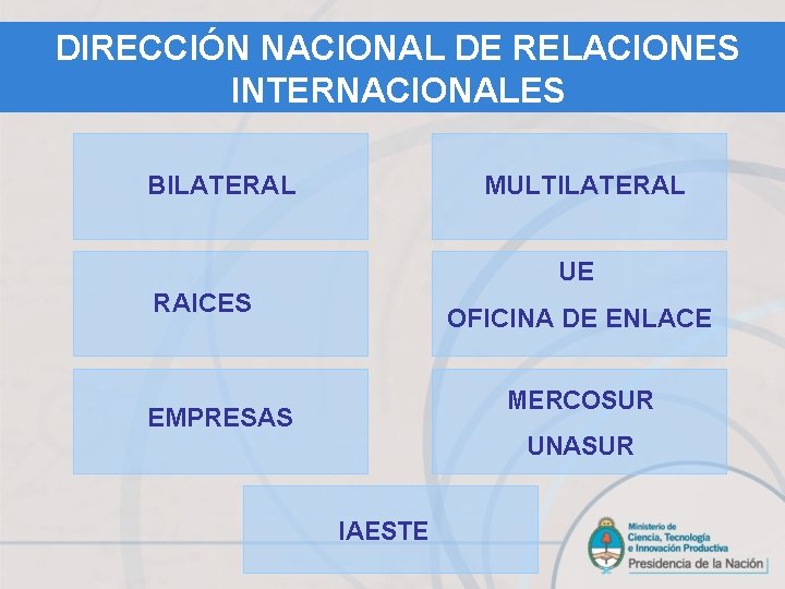 DIRECCIÓN NACIONAL DE RELACIONES INTERNACIONALES BILATERAL MULTILATERAL UE RAICES OFICINA DE ENLACE MERCOSUR EMPRESAS