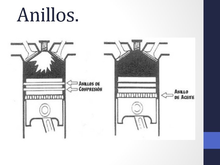 Anillos. 