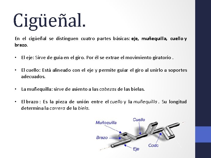 Cigüeñal. En el cigüeñal se distinguen cuatro partes básicas: eje, muñequilla, cuello y brazo.