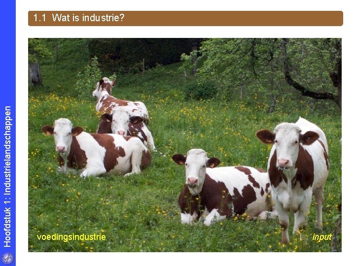 Hoofdstuk 1: Industrielandschappen 1. 1 Wat is industrie? voedingsindustrie input 