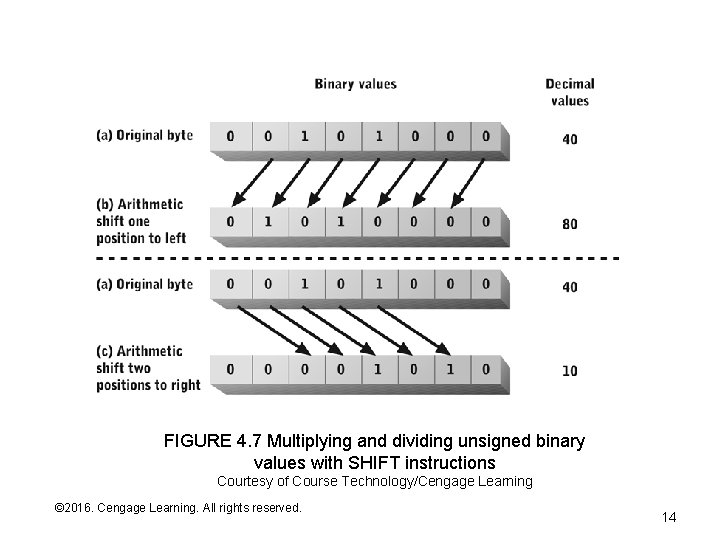 FIGURE 4. 7 Multiplying and dividing unsigned binary values with SHIFT instructions Courtesy of