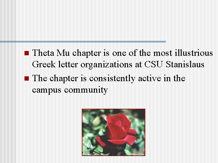 Theta Mu chapter is one of the most illustrious Greek letter organizations at CSU