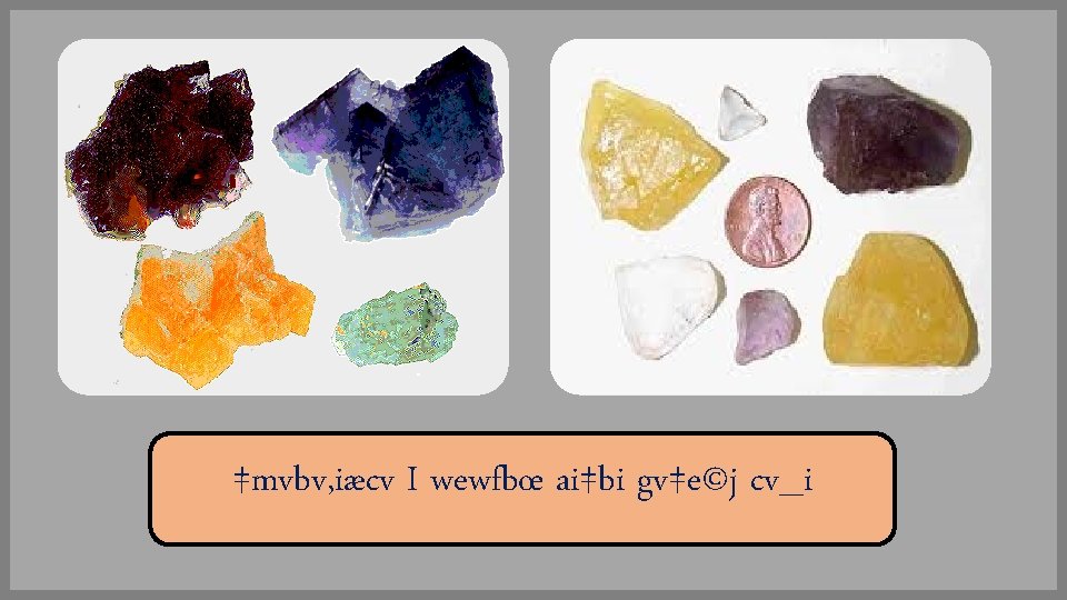 ‡mvbv, iæcv I wewfbœ ai‡bi gv‡e©j cv_i 