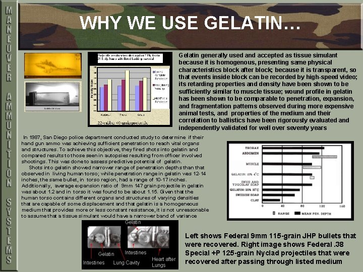 WHY WE USE GELATIN… Gelatin generally used and accepted as tissue simulant because it