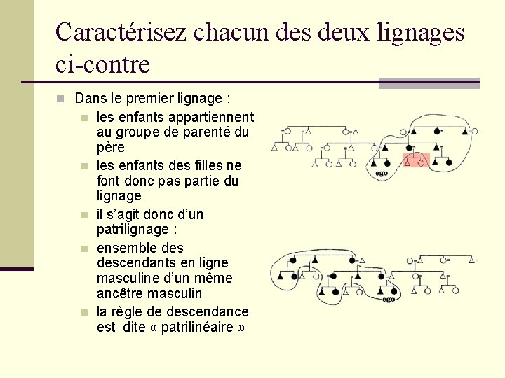 Caractérisez chacun des deux lignages ci-contre n Dans le premier lignage : n n