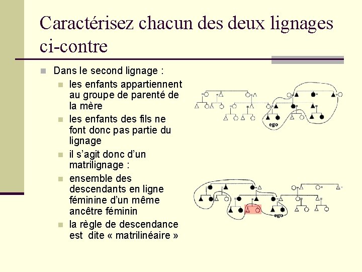 Caractérisez chacun des deux lignages ci-contre n Dans le second lignage : n n