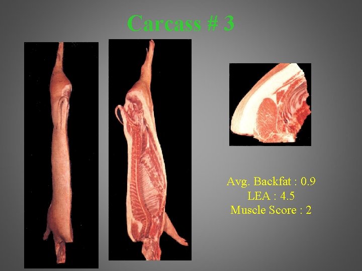 Carcass # 3 Avg. Backfat : 0. 9 LEA : 4. 5 Muscle Score