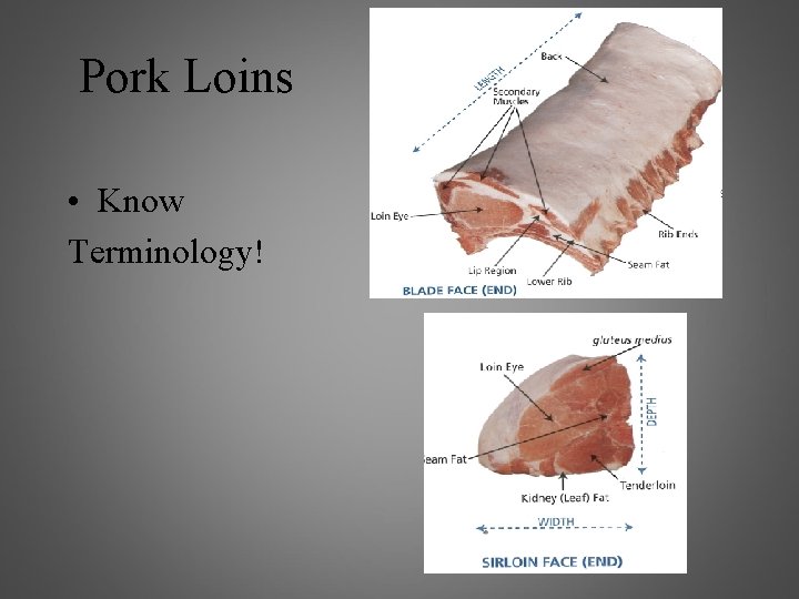 Pork Loins • Know Terminology! 