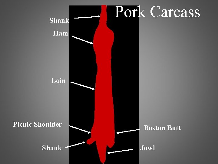 Shank Pork Carcass Ham Loin Picnic Shoulder Shank Boston Butt Jowl 