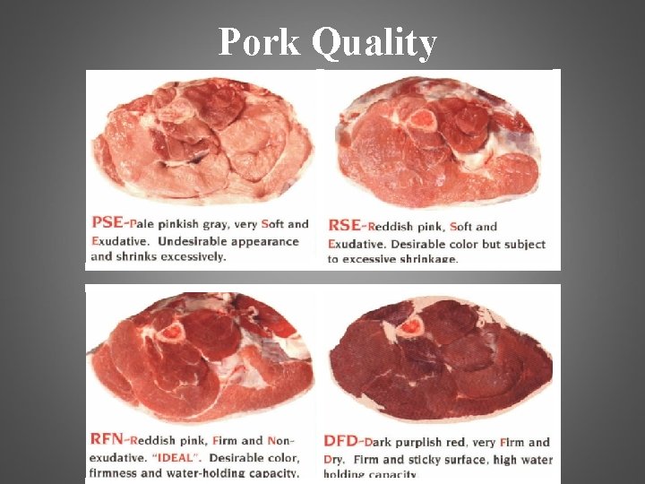 Pork Quality 