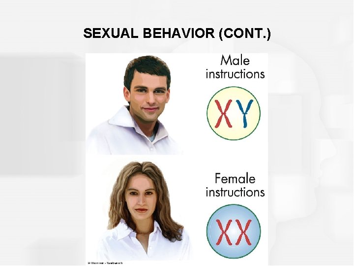 SEXUAL BEHAVIOR (CONT. ) 