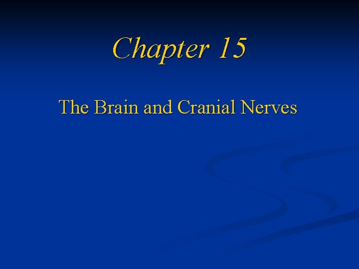 Chapter 15 The Brain and Cranial Nerves 