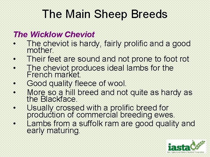 The Main Sheep Breeds The Wicklow Cheviot • The cheviot is hardy, fairly prolific