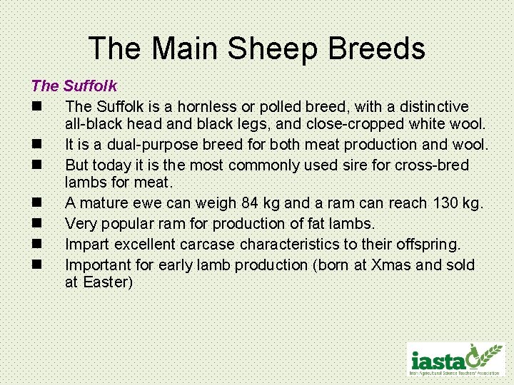 The Main Sheep Breeds The Suffolk n The Suffolk is a hornless or polled