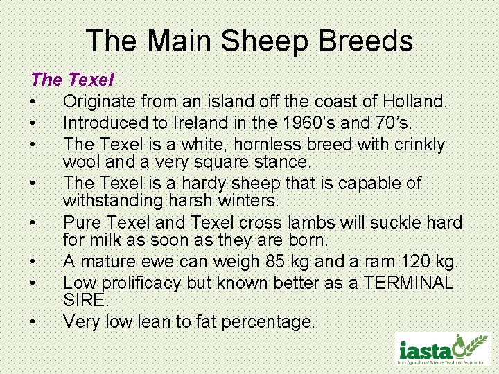 The Main Sheep Breeds The Texel • Originate from an island off the coast