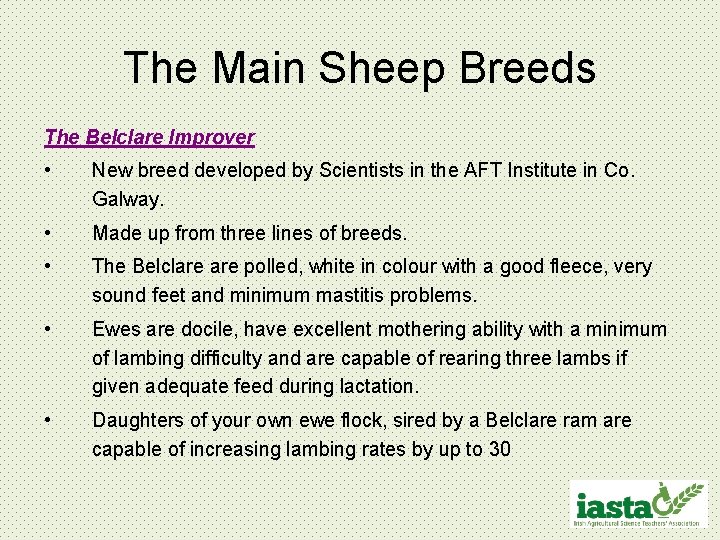 The Main Sheep Breeds The Belclare Improver • New breed developed by Scientists in
