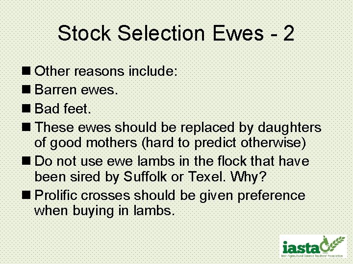 Stock Selection Ewes - 2 n Other reasons include: n Barren ewes. n Bad