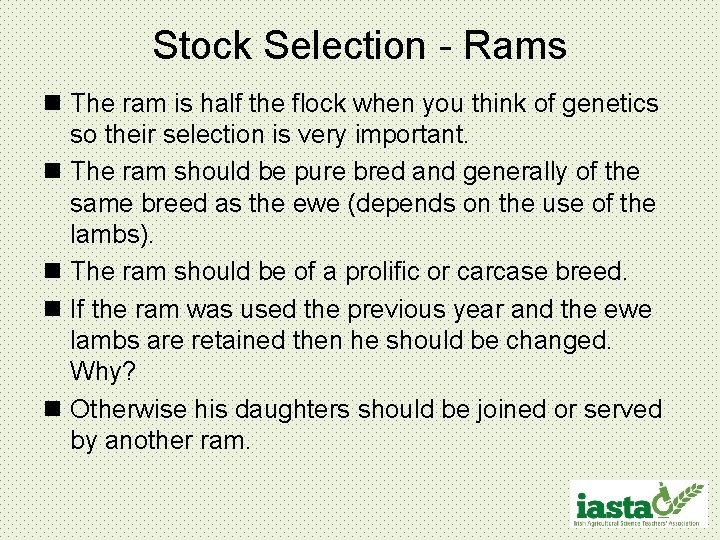 Stock Selection - Rams n The ram is half the flock when you think