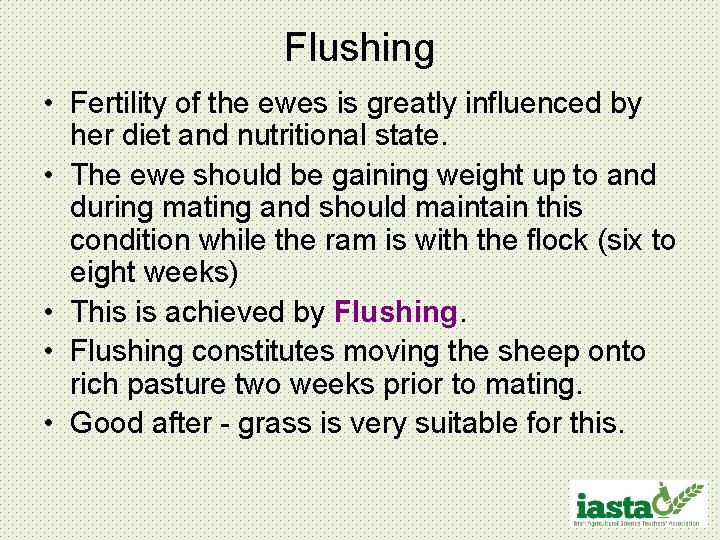 Flushing • Fertility of the ewes is greatly influenced by her diet and nutritional