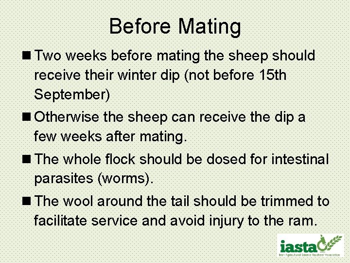 Before Mating n Two weeks before mating the sheep should receive their winter dip