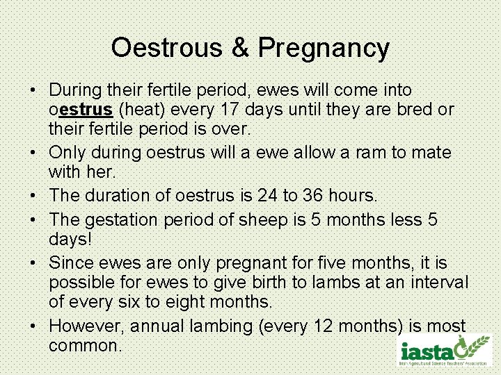 Oestrous & Pregnancy • During their fertile period, ewes will come into oestrus (heat)