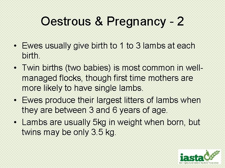 Oestrous & Pregnancy - 2 • Ewes usually give birth to 1 to 3