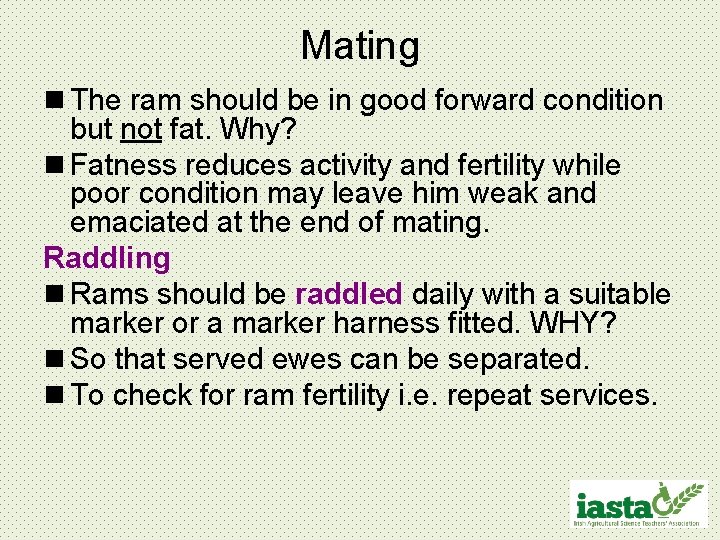 Mating n The ram should be in good forward condition but not fat. Why?