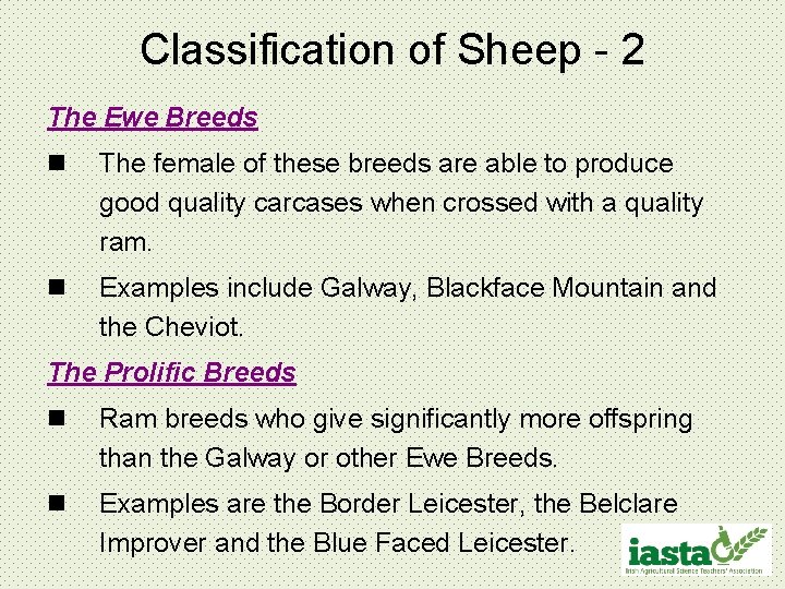 Classification of Sheep - 2 The Ewe Breeds n The female of these breeds