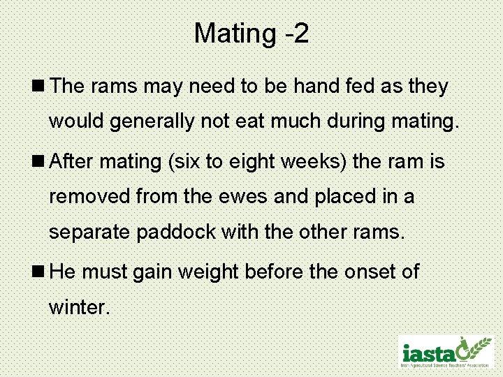 Mating -2 n The rams may need to be hand fed as they would