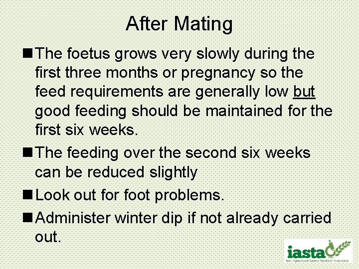 After Mating n The foetus grows very slowly during the first three months or