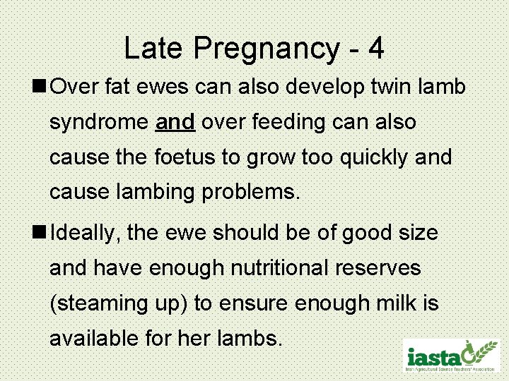 Late Pregnancy - 4 n Over fat ewes can also develop twin lamb syndrome