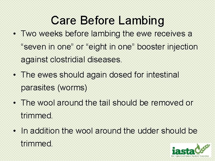 Care Before Lambing • Two weeks before lambing the ewe receives a “seven in