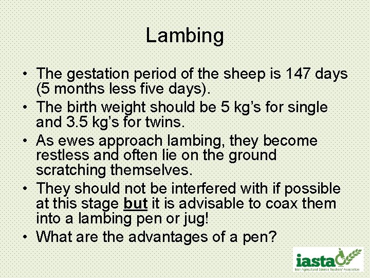 Lambing • The gestation period of the sheep is 147 days (5 months less