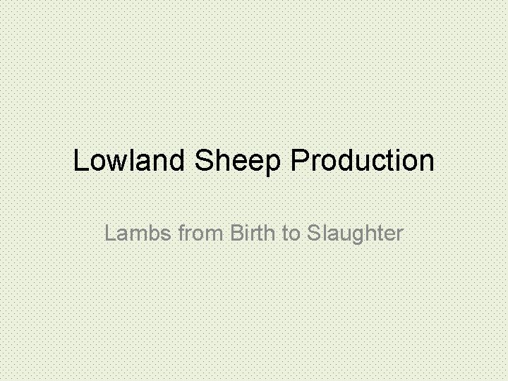 Lowland Sheep Production Lambs from Birth to Slaughter 