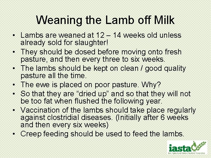 Weaning the Lamb off Milk • Lambs are weaned at 12 – 14 weeks