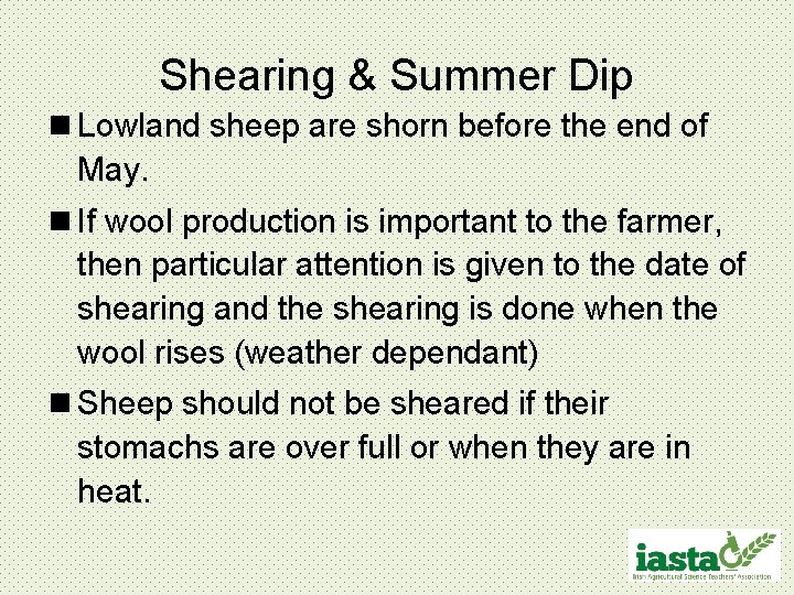 Shearing & Summer Dip n Lowland sheep are shorn before the end of May.