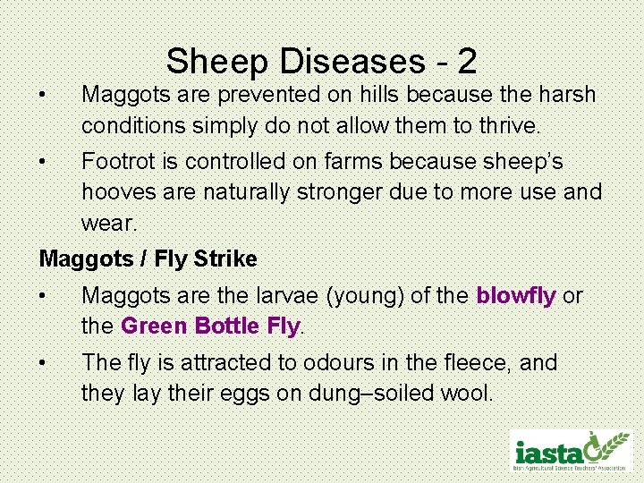 Sheep Diseases - 2 • Maggots are prevented on hills because the harsh conditions