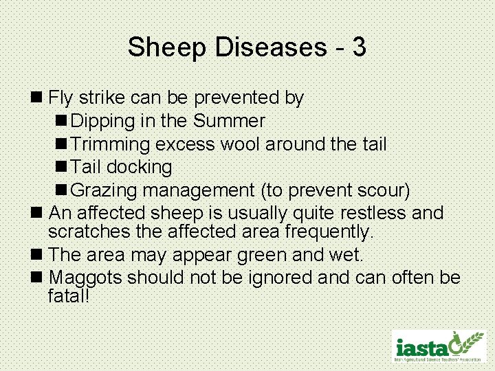 Sheep Diseases - 3 n Fly strike can be prevented by n Dipping in