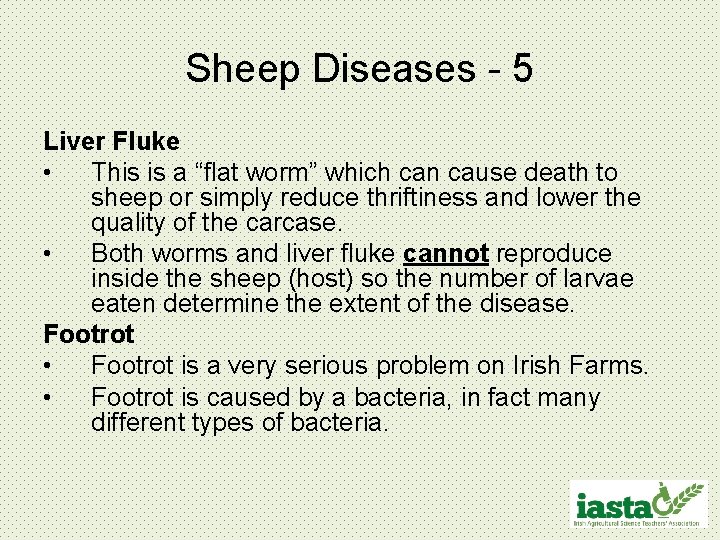 Sheep Diseases - 5 Liver Fluke • This is a “flat worm” which can