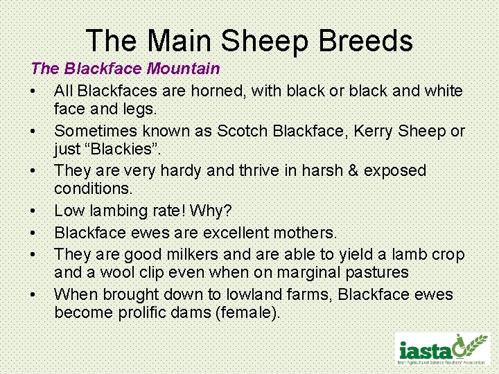 The Main Sheep Breeds The Blackface Mountain • All Blackfaces are horned, with black