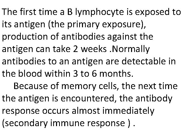 The first time a B lymphocyte is exposed to its antigen (the primary exposure),