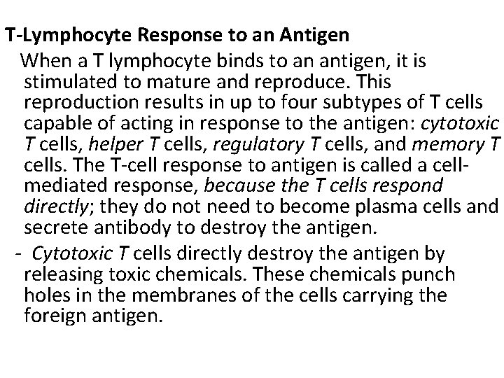 T-Lymphocyte Response to an Antigen When a T lymphocyte binds to an antigen, it