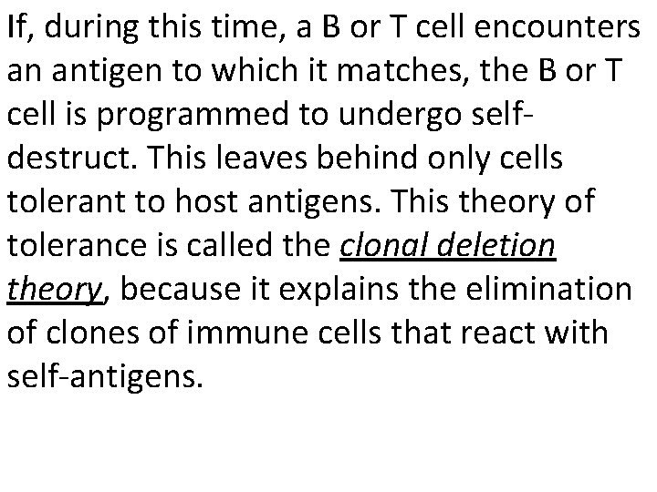 If, during this time, a B or T cell encounters an antigen to which