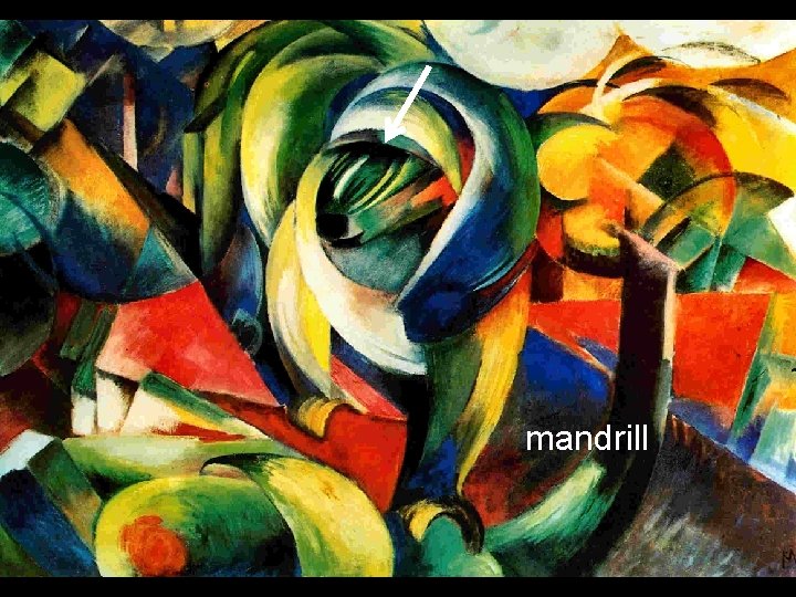 mandrill 