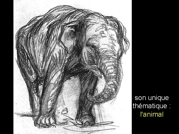 son unique thématique : l'animal 