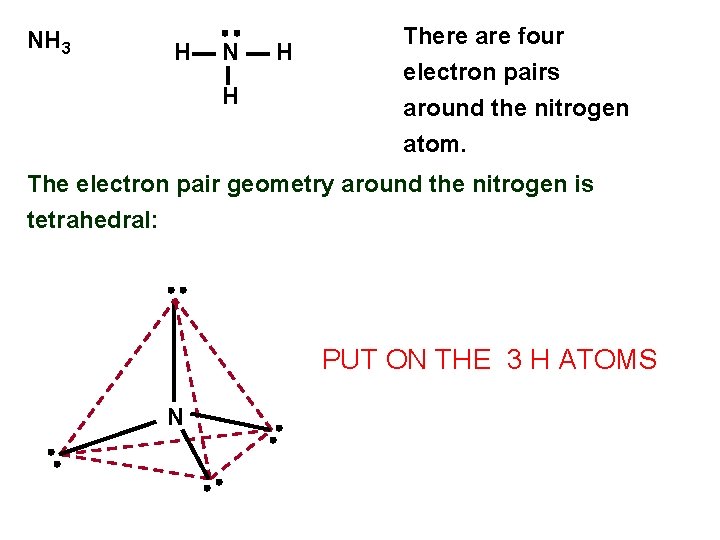 NH 3 H N H H There are four electron pairs around the nitrogen
